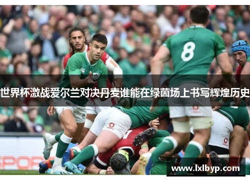 世界杯激战爱尔兰对决丹麦谁能在绿茵场上书写辉煌历史